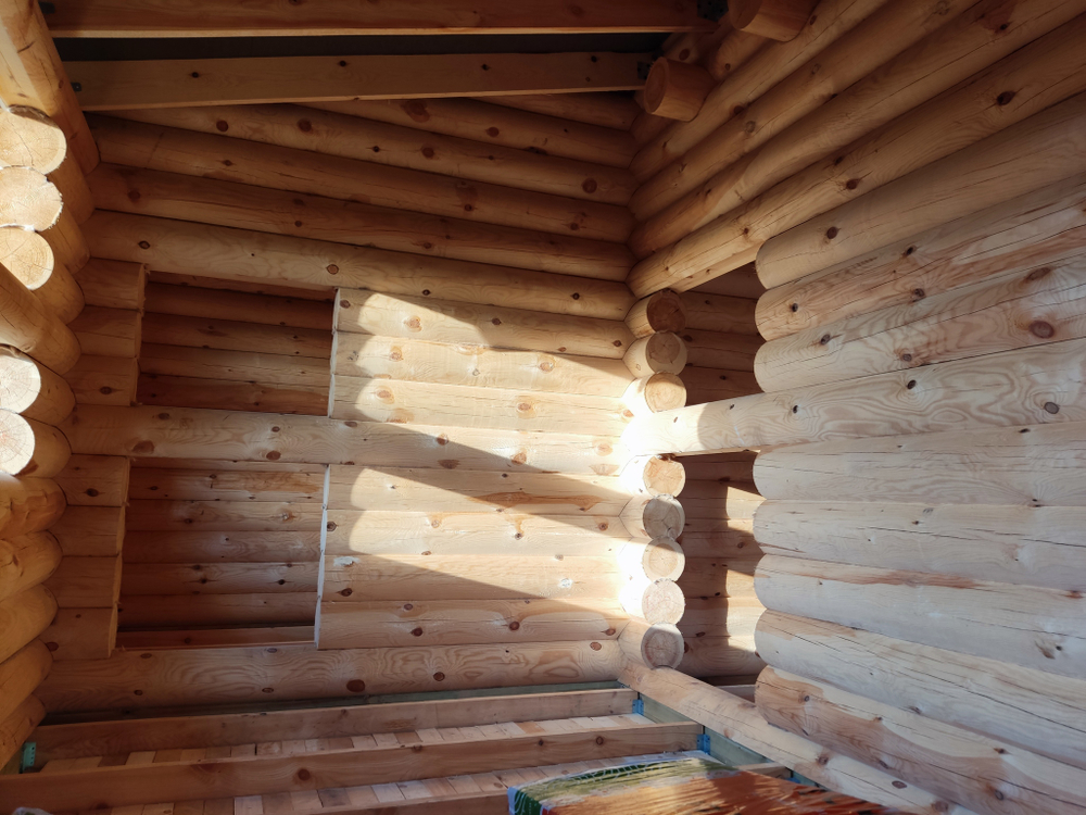 #1248 внутри сруба