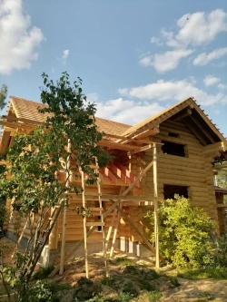 #1341 июнь 2023 года