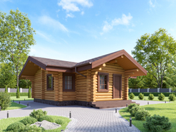 Баня из бревна с купелью #1290