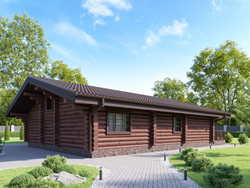 Одноэтажный дом из бревна #1274