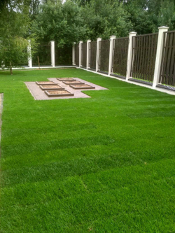 Ландшафтные работы