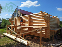 сборка бани из бревна #1009