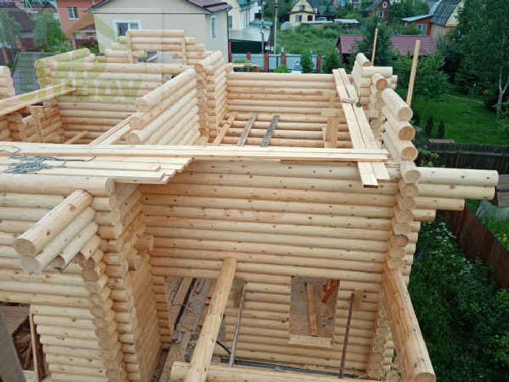 #982 фото сборки лето 2020