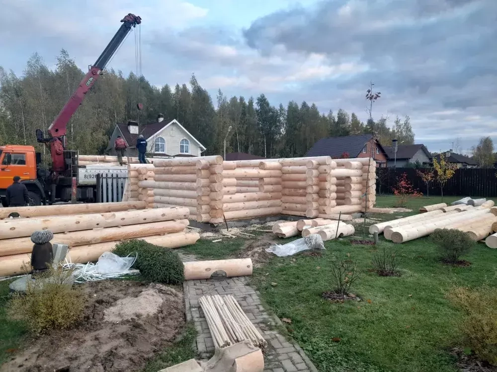 октябрь 2022 #1297 сборка сруба бани из бревна 300мм
