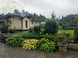 Одноэтажный сруб из бревна #905