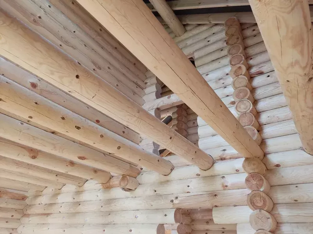 дом #1295 в мае 2023 года