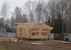 28 апреля 2021 #1023