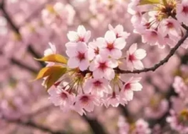 Мир труд май!