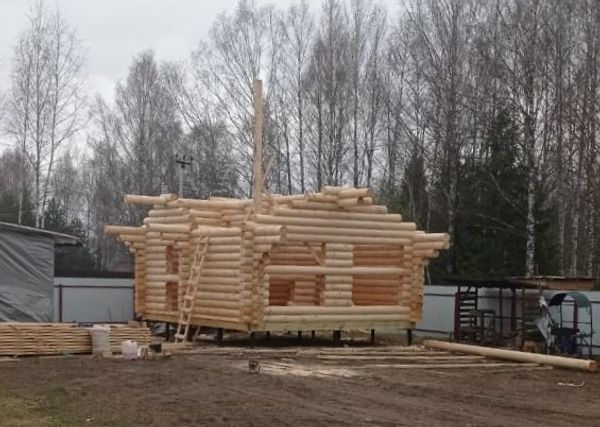 28 апреля 2021 #1023