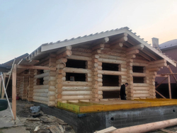 Сборка сруба из бревна 280мм в октябре 2024 #1487