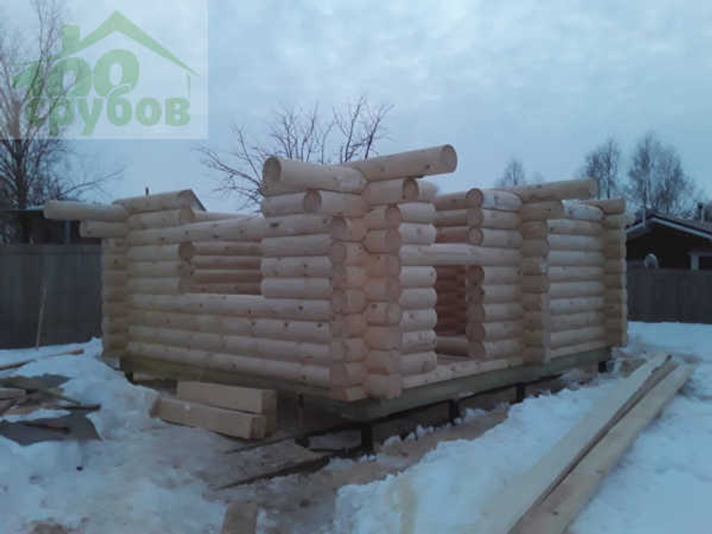 #1133 сборка сруба