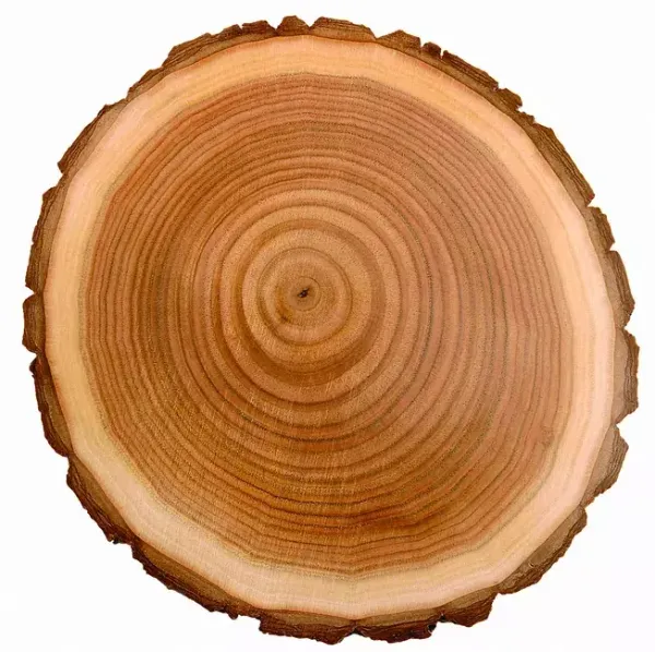 Ручная рубка или оцилиндровка для загородного дома? Ручная рубка или оцилиндровка для загородного дома?