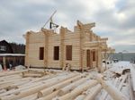 #902 проект с красивым северным фасадом