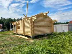 #1254 сборка бани, бревно 220мм. июнь 2022