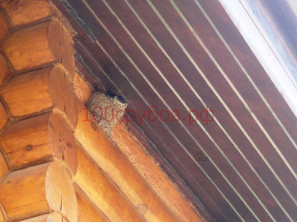 Фото свесов дома-бани из сруба #199